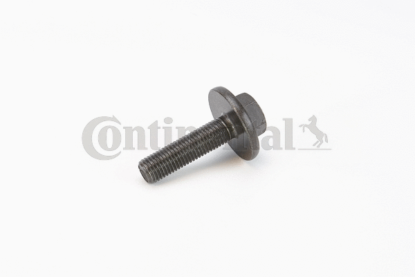 Screw (V41218)