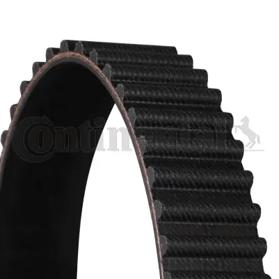 Timing Belt