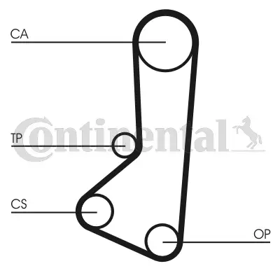 Timing Belt