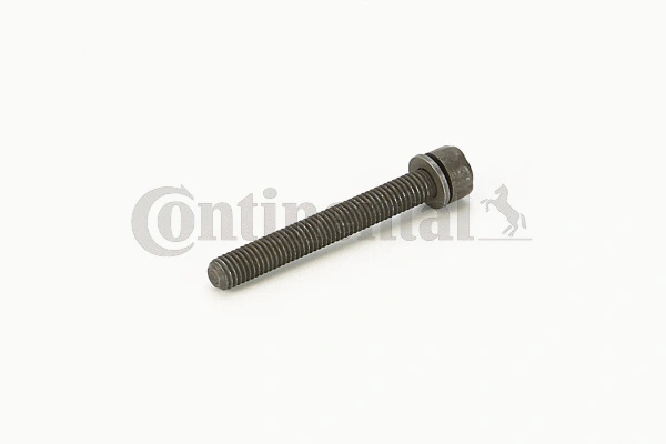 Screw (V41110)