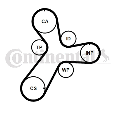 Timing Belt