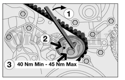 Timing Belt Kit