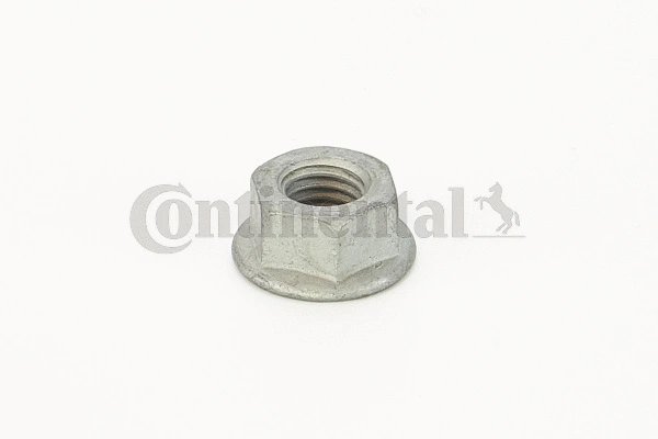 Nut (V31210)