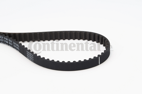 Timing Belt