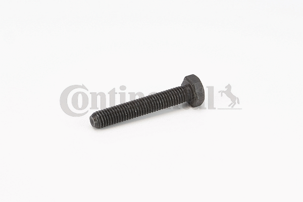 Screw (V41030)