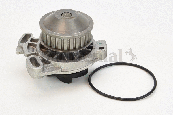 Water Pump, engine cooling (WP6062)