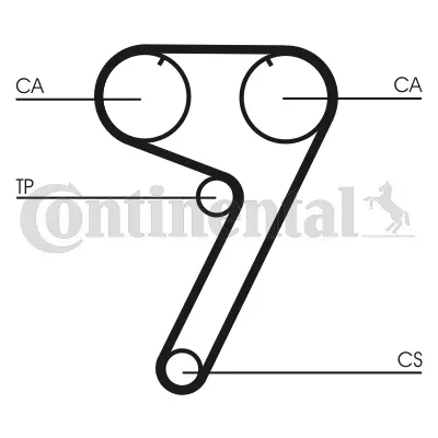 Timing Belt