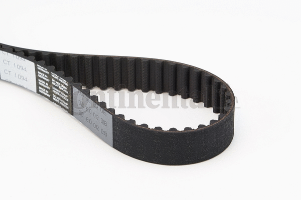 Timing Belt