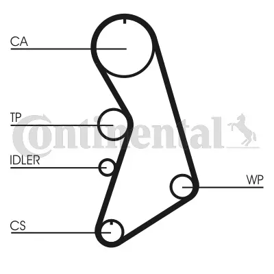 Timing Belt Kit