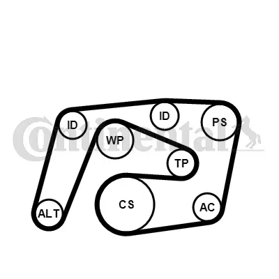 Water Pump + V-Ribbed Belt Kit