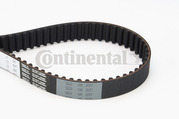 Timing Belt