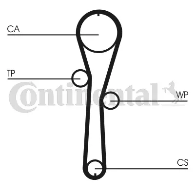 Timing Belt