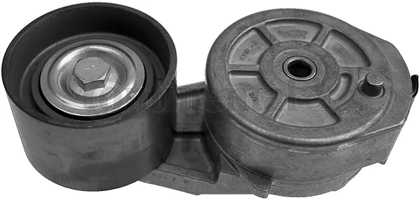 Tensioner Lever, V-ribbed belt (V58800)