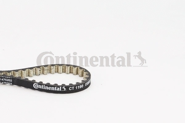 Timing Belt