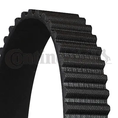 Timing Belt
