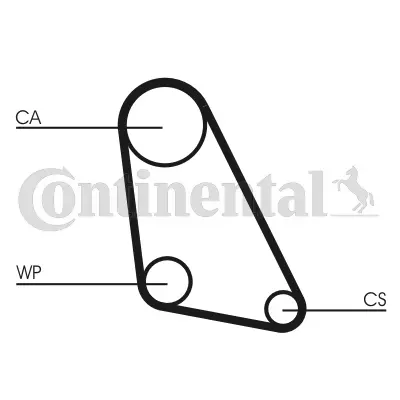 Timing Belt