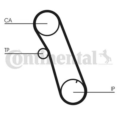 Timing Belt