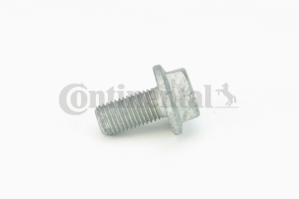 Screw (V41222)