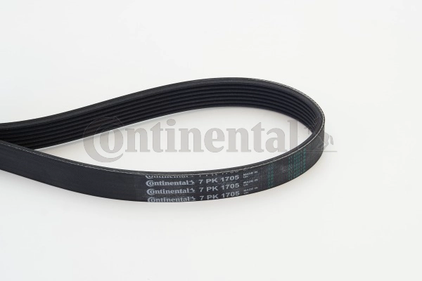 V-Ribbed Belt (7PK1705)