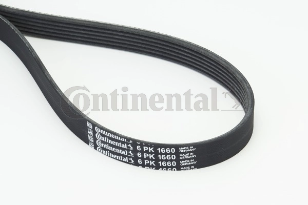 V-Ribbed Belt (6PK1660)