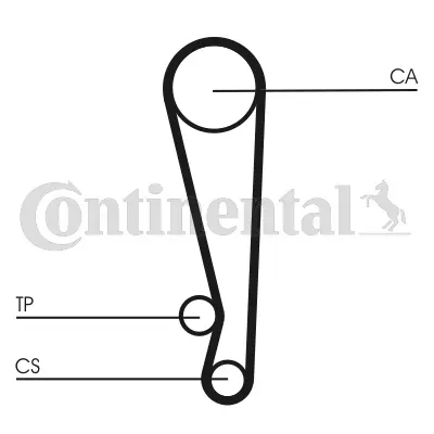 Timing Belt Kit