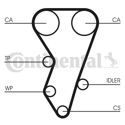 Timing Belt