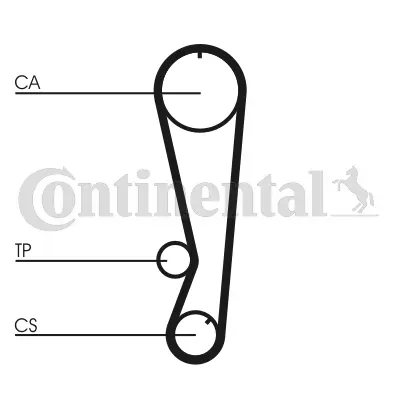 Timing Belt