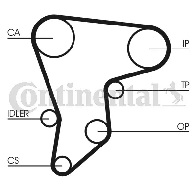 Timing Belt