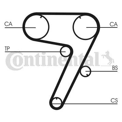 Timing Belt Kit