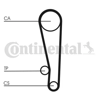 Timing Belt