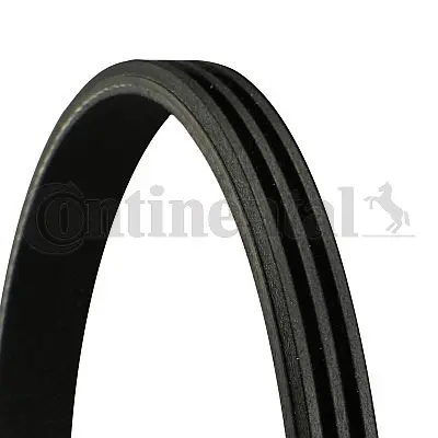 V-Ribbed Belt (3PK576 ELAST)