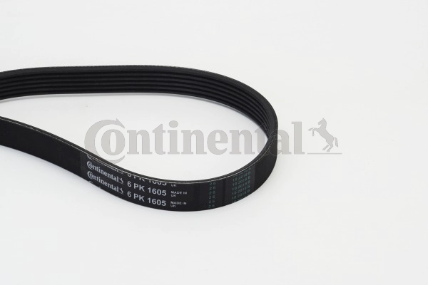V-Ribbed Belt (6PK1605)