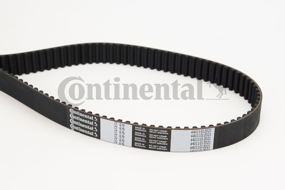 Timing Belt