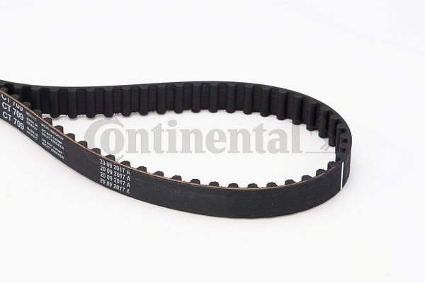 Timing Belt
