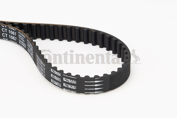 Timing Belt