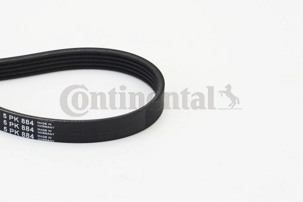 V-Ribbed Belt (5PK884)