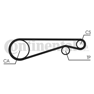 Timing Belt