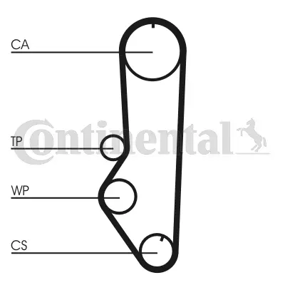 Timing Belt