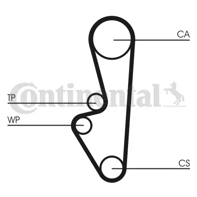 Timing Belt