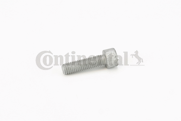 Screw (V41199)