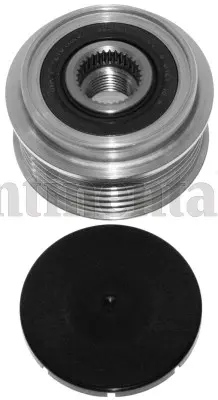 Alternator Freewheel Clutch (AP9044)