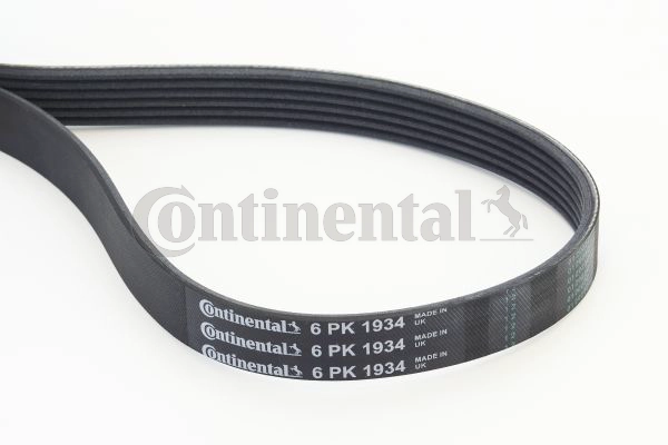 V-Ribbed Belt (6PK1934)