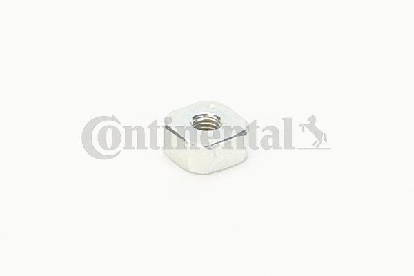 Nut (V31268)