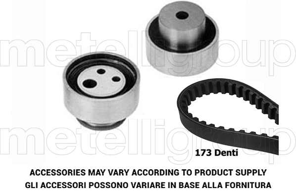 Timing Belt Kit (TP233)