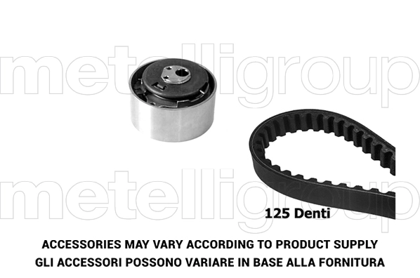 Timing Belt Kit (TP118)