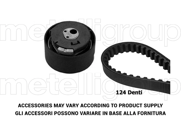 Timing Belt Kit (TP020)