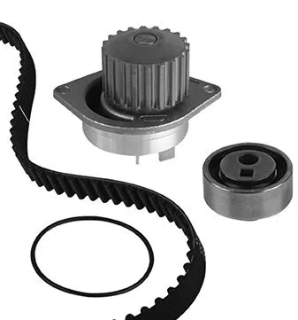 Water Pump & Timing Belt Kit (KP491-1)