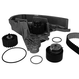 Water Pump & Timing Belt Kit (KP900-1)