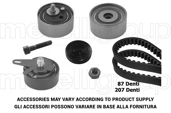 Timing Belt Kit (TP041)