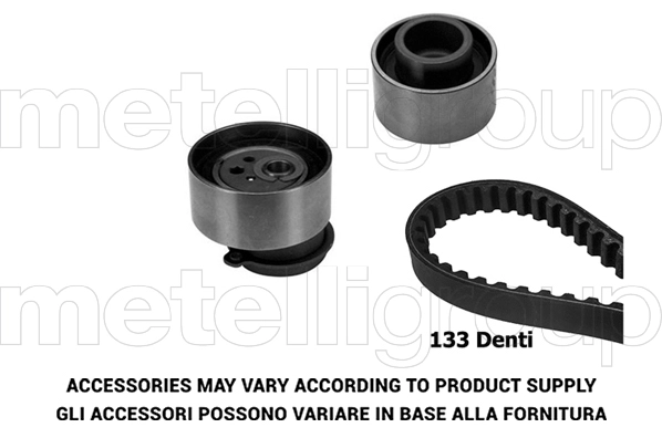 Timing Belt Kit (TP295)